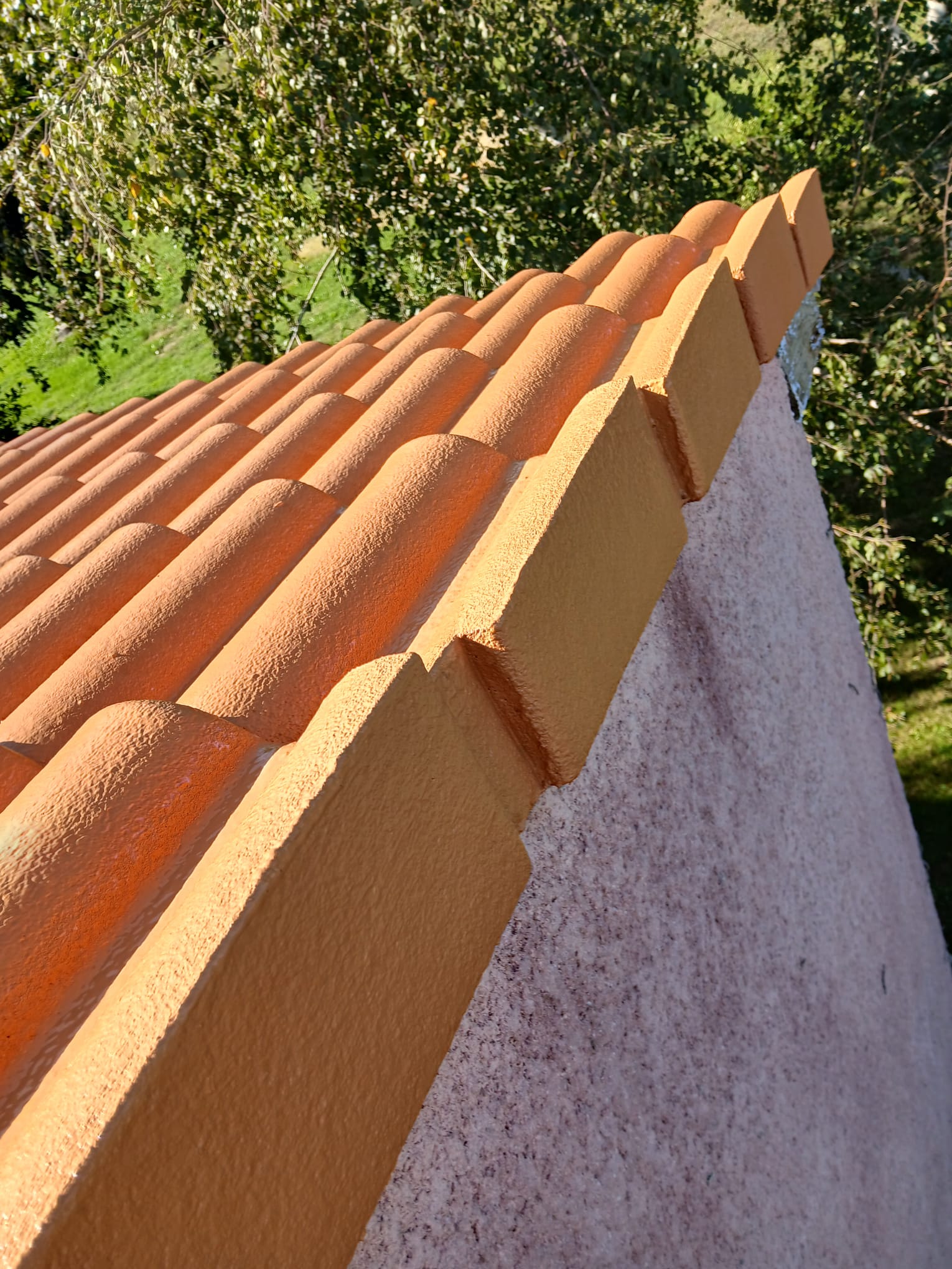 Peinture toiture, couvreur Bressols